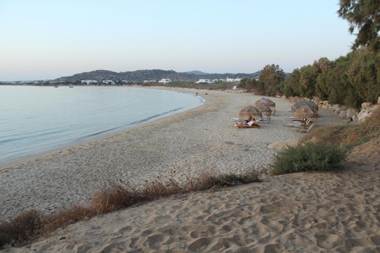 Villa Paradise In Naxos ปลากา ภายนอก รูปภาพ
