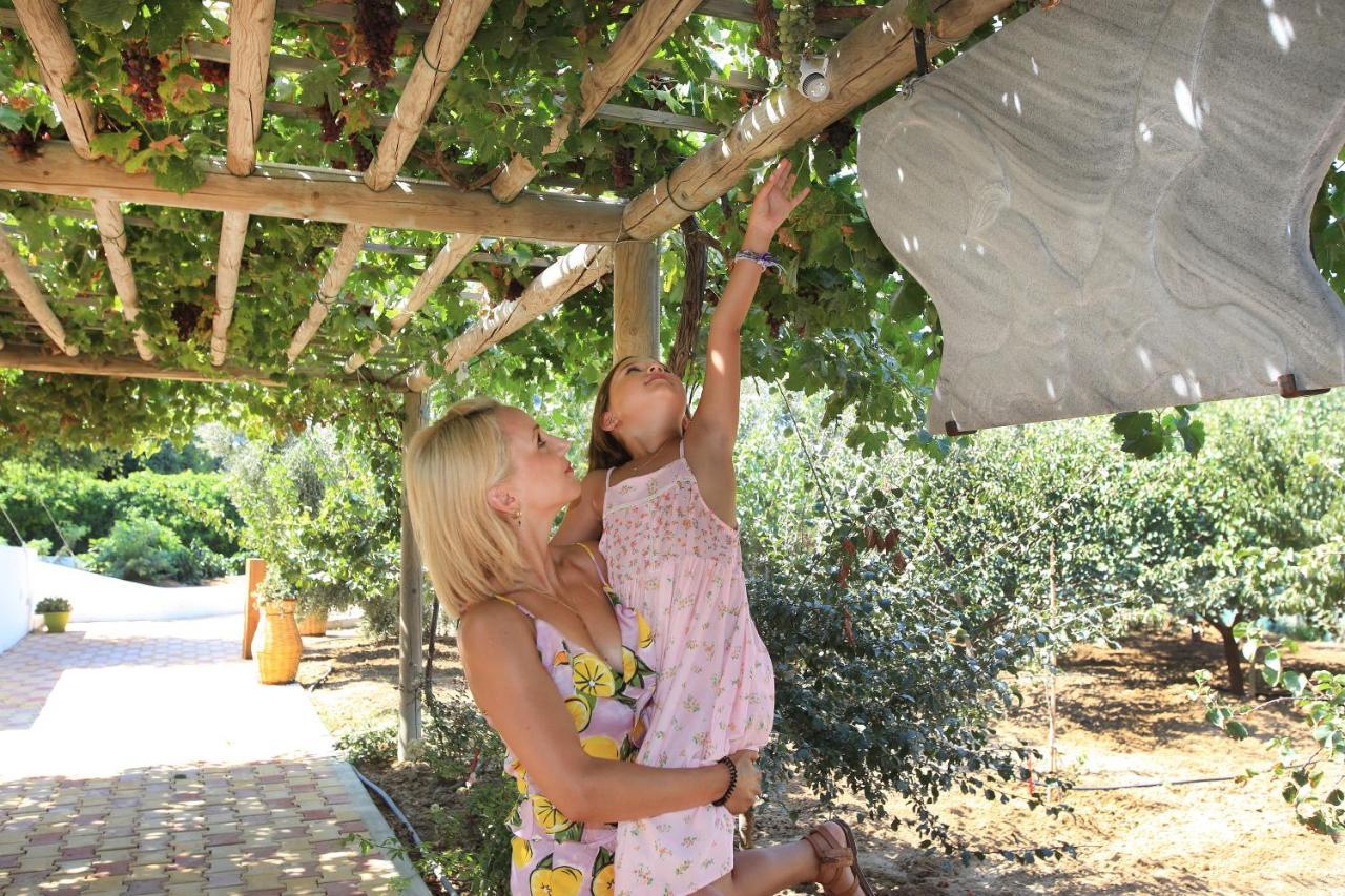 Villa Paradise In Naxos ปลากา ภายนอก รูปภาพ