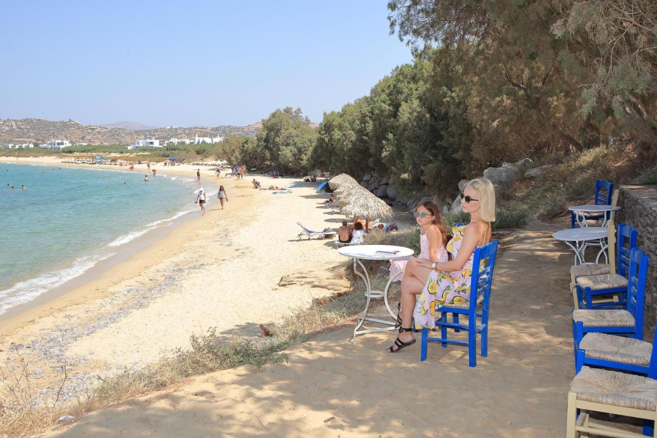 Villa Paradise In Naxos ปลากา ภายนอก รูปภาพ